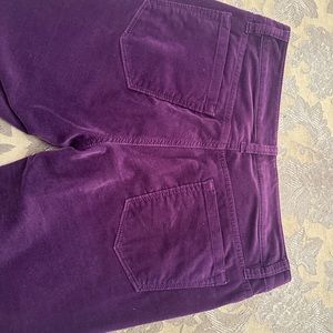 Loft purple velvet loft pants